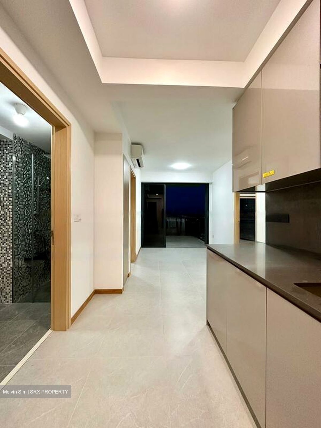 The Antares (D14), Apartment #595145051